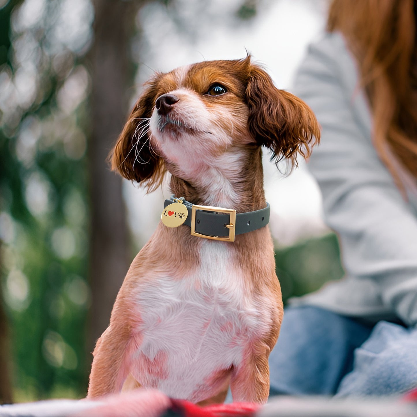 LovYoPet Signature Collar