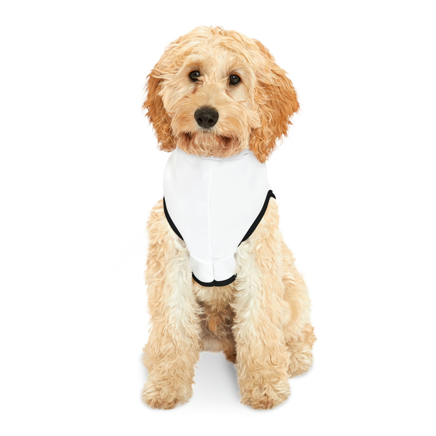 LovYoPet Logo Pet Hoodie