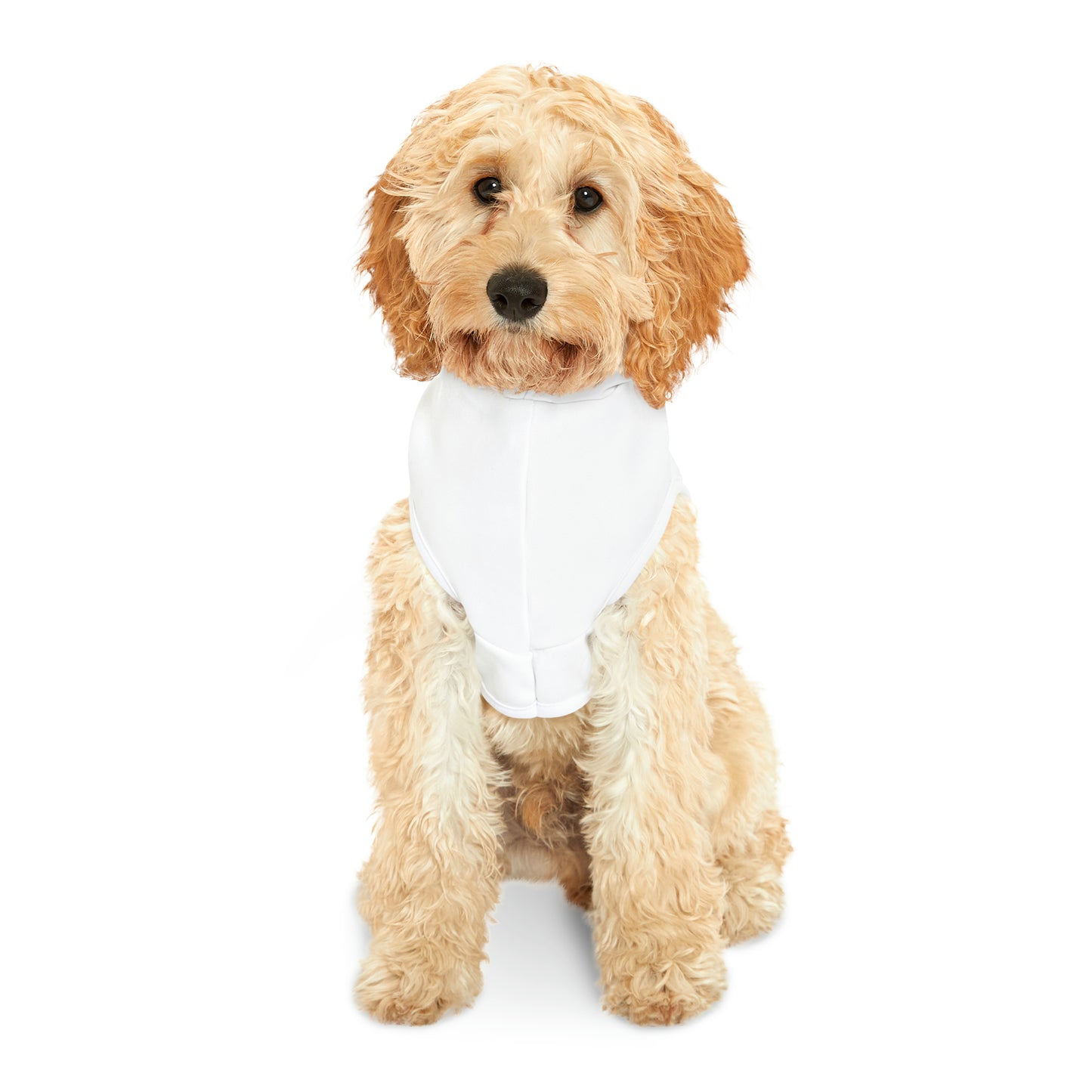 LovYoPet Logo Pet Hoodie