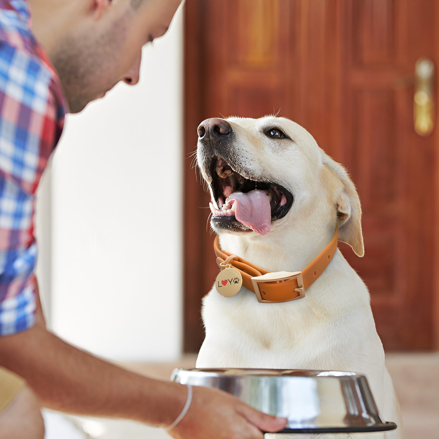 LovYoPet Signature Collar